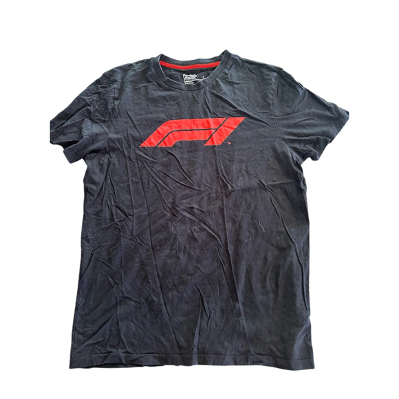 Formula 1 Primary Logo Graphic T-Shirt - Picture 1 of 3
